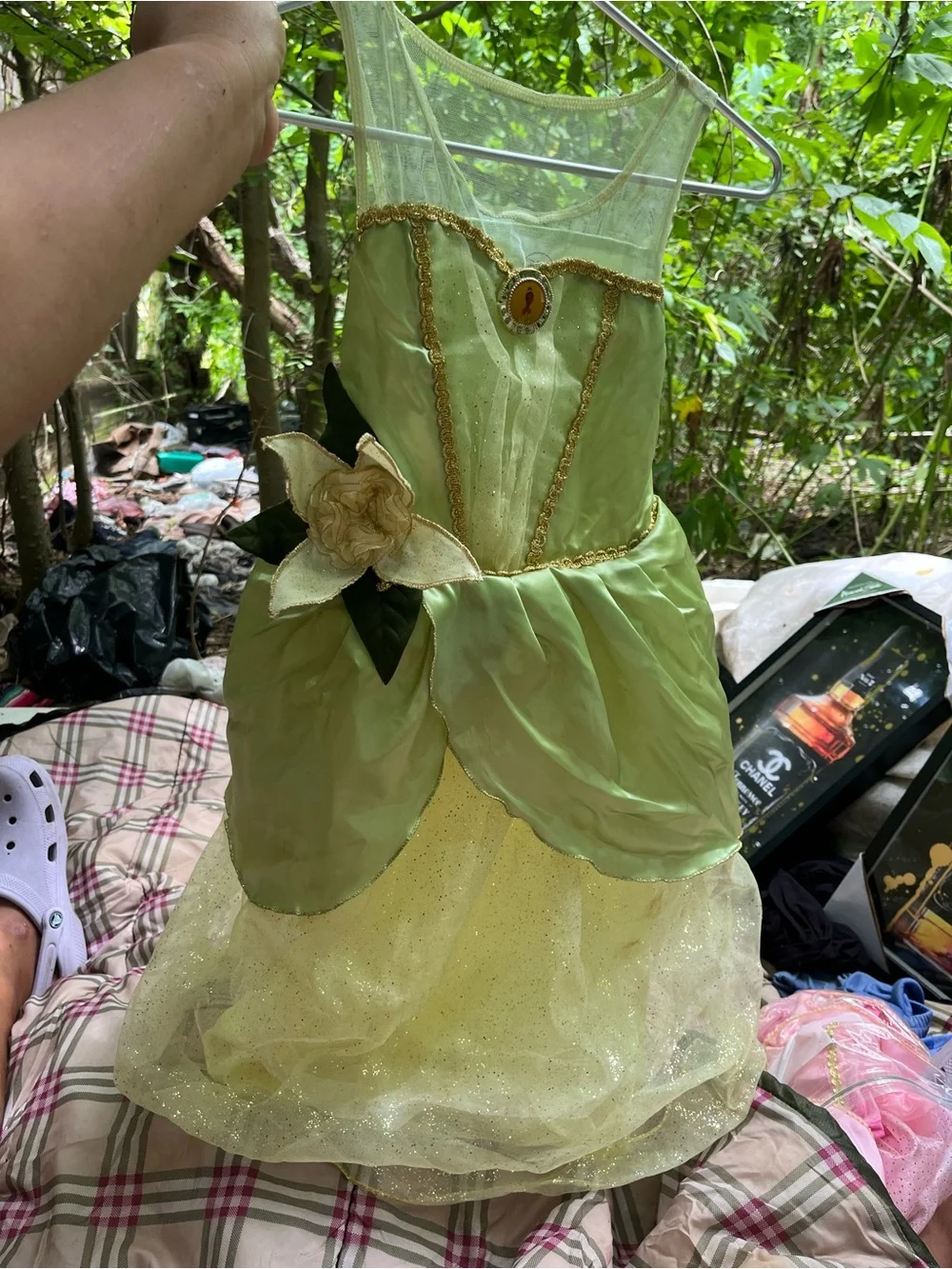 Disney Princess Tiana Dress